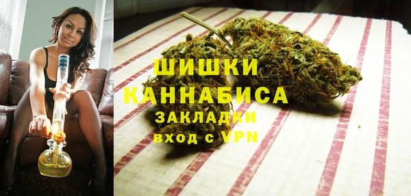прущие грибы Абдулино