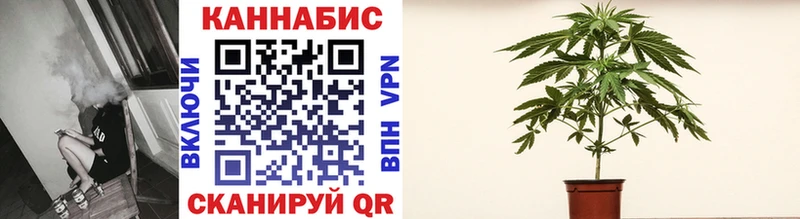 Бошки Шишки AK-47  Кингисепп 